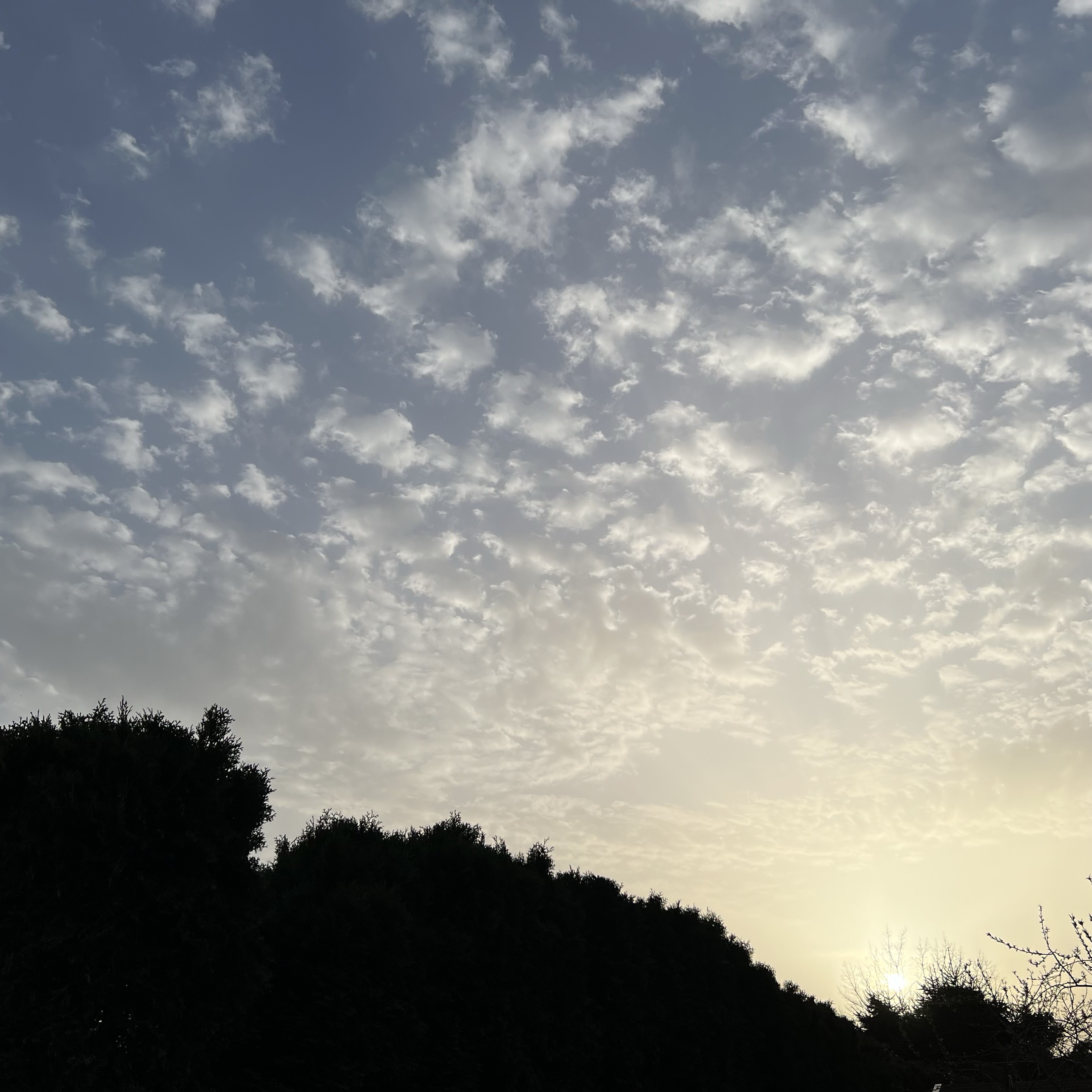 picture of altocumulus, a cloud type