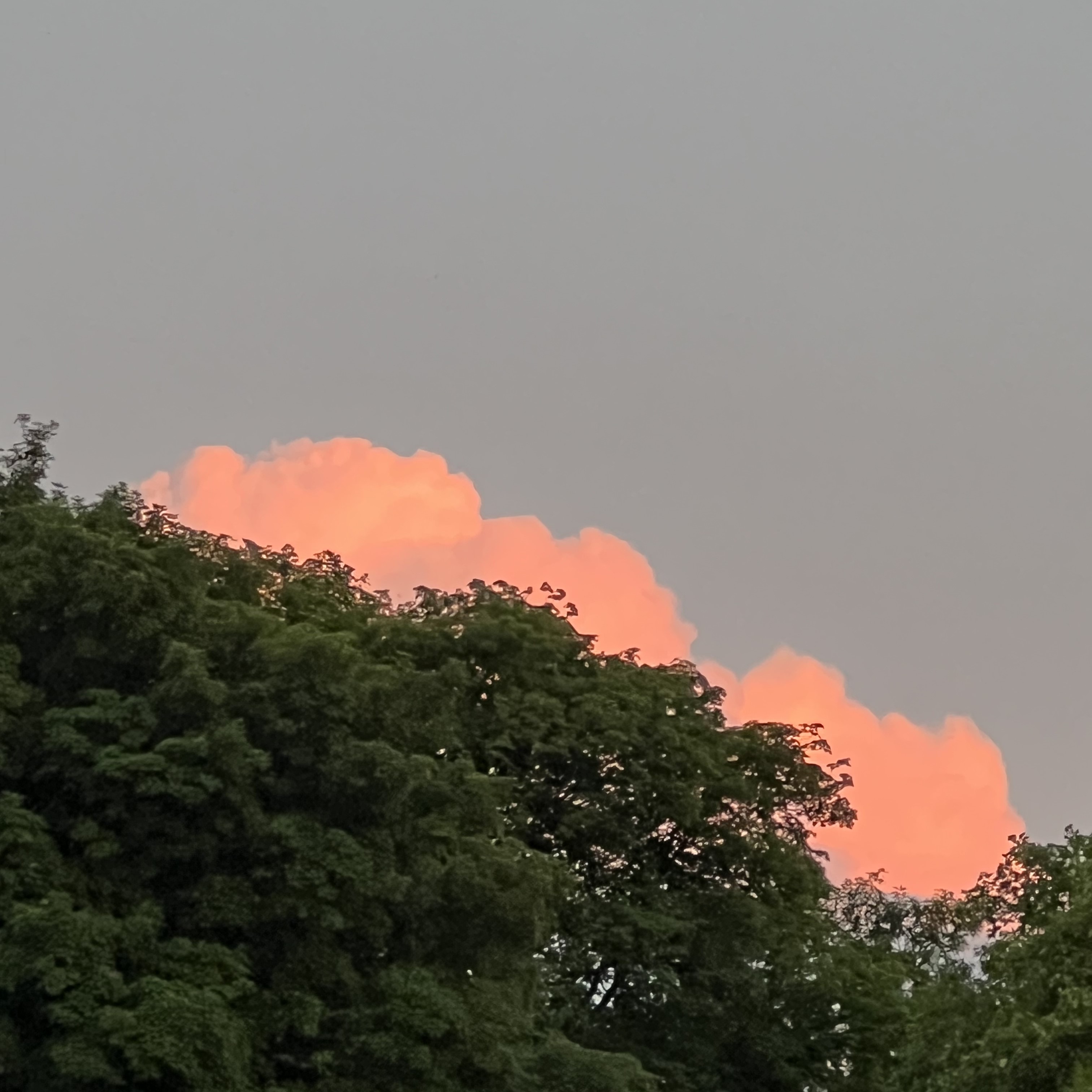 picture of pink cloud